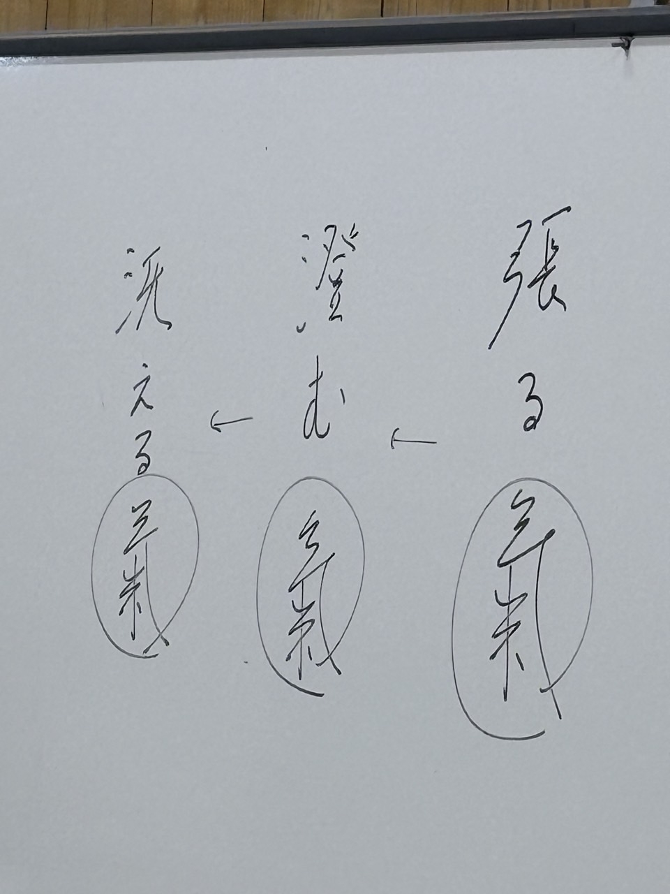 4月26日＆27日に第1回合同稽照会を行いました